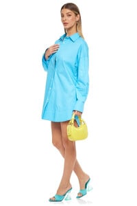marsha-button-down-shirt-dress-502510_1800x1800.jpg