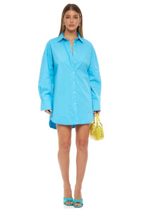 marsha-button-down-shirt-dress-556644_1800x1800.jpg