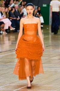 00007-molly-goddard-spring-2023-ready-to-wear-credit-gorunway.thumb.webp.940f83d3c8300a7de3095eb12289b06a.webp