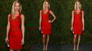 856001294_ErinHeatherton-UnitedNationsWorldFoodProgramDinner@NYC2013_04_06.thumb.jpg.c12747d679f8e9aa286175c0f733d783.jpg