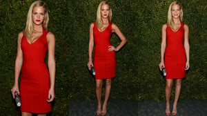 856001294_ErinHeatherton-UnitedNationsWorldFoodProgramDinner@NYC2013_04_06.thumb.jpg.c12747d679f8e9aa286175c0f733d783.jpg