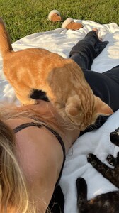 B0979454-B8E3-43E9-B08A-B68492740DE3.jpeg