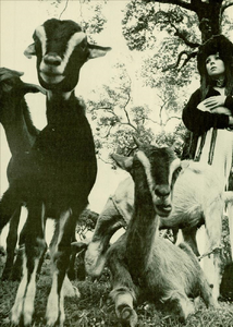 Bailey_Vogue_Italia_November_1969_04.thumb.png.3ce94496fb5d593b2b596e3f86b85a20.png