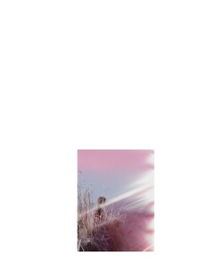 Borthwick_AnOther_Magazine_Spring_Summer_2009_06.thumb.jpg.28f3fd2909f27739daff2c98cd31125f.jpg