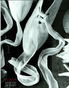Lino_Kirk_Vogue_Italia_April_1990_08.thumb.png.770acfedf499696782ee789afb14bd74.png