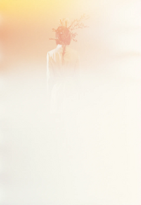Purple_borthwick_06.thumb.png.d3ad9822d3676fe49c3109e1f0cfd3c6.png