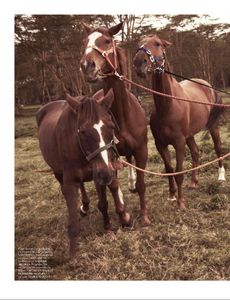 Vogue_Paris_-_Avril_2014-222.thumb.png.9214e99022a29fae420feb2514364935.png