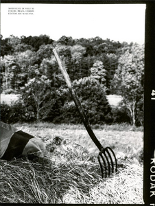 von_Unwerth_Vogue_Italia_August_1996_06.thumb.png.7cdcc7b54ca8180790291563509f7777.png