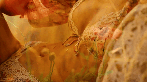1200826835_ezgif.com-gif-maker(85).gif