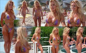 1231897897_PamelaAnderson-Baywatch1992S03E06ShowdownatMalibuBeachHigh(DeadLamb).thumb.jpg.1617db6093d5e5135430badf941f649f.jpg