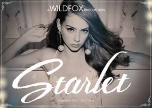 wildfox 2017 starlet (20).jpg