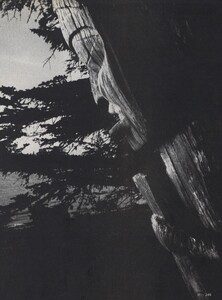 Malinowski_US_Vogue_April_1979_04.thumb.jpg.1453a2fe57404fa6517c5c8aa0536304.jpg