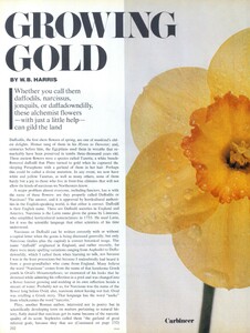 Penn_US_Vogue_December_1976_01.thumb.jpg.9bc83d32dbed080c806015a585ef59bb.jpg