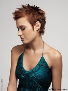 coupe-femme-cheveux-courts-53-11.thumb.jpg.2eb0375f9ca1796295a4770a25b91a05.jpg