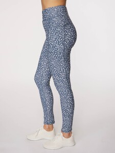 shorelinelegging_SP2409504_slt_4.jpg