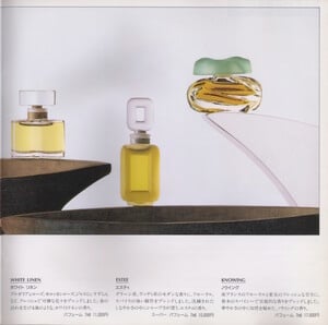 Estee Lauder Japanese brochure page 32 600dpi.jpeg