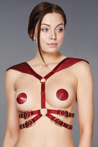 Bordelle Lingerie - Voyeur Harness.jpg