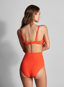 bikini-panty-iconic-tangerine-1.thumb.jpg.22ae4258e51897300184d620c19170d9.jpg
