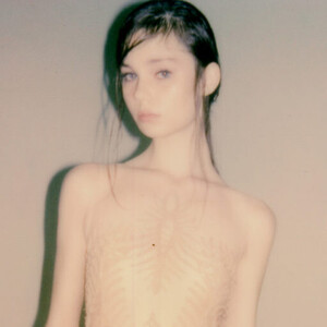 cropped-marco-giuliano-of-lilies-and-remains.jpg