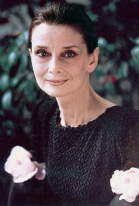 126.jpg