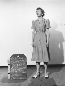 127.jpg