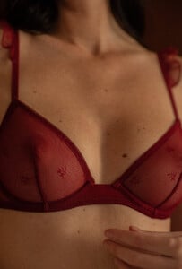 94c36f1a-9538-442b-9c8d-ff0c30d7737f_yse-lingerie-triangle-armature-amour-infini-bordeaux+(2) (2).jpg
