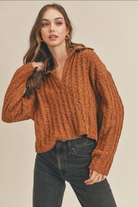 Lush Collared Neck Sweater - Front Cropped Image.jpg