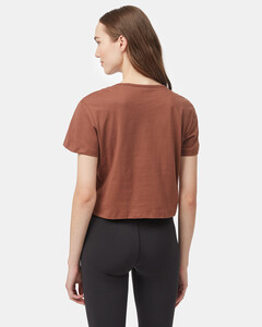 brown_basic_cropped_tee_TCW4567_2264_2.jpg