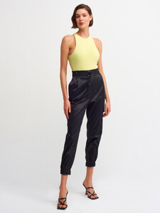 101a03761_lime-2.jpg