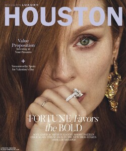 Modrn Luxury Houston 223 .jpg