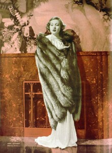 117.jpg
