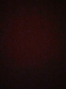 1191A3C8-7842-4A2C-9C78-3984A9A365EF.thumb.jpeg.fefc3cf6fcb95b2614b786bf51cdcef1.jpeg