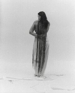 1879942-800w.jpg