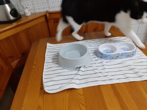 20230217_193802.jpg