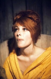 90.jpg