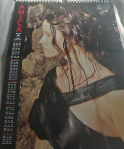 AmicaIT1993CalendarAugust.thumb.jpg.ea7a357c751b223886669c8447bcc885.jpg