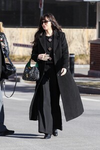 dakota-johnson-arrives-at-harvard-business-school-in-boston-02-11-2023-0.jpg