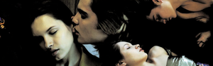 image.thumb.png.779c29995d02eefa54b5c6d3528d462a.png