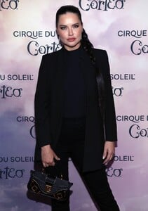 1798214996_cirquedesoleil(11).thumb.jpg.fc69cd803d47de1a27a6c9bb2ba68bec.jpg