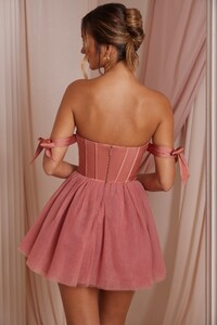 6756_4_Reine-Terracotta-Tulle-Mini-Skirt-Corset-Mini-Dress.jpg