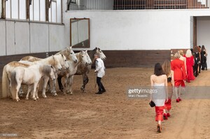 gettyimages-1471622085-2048x2048.thumb.jpg.2644ef2fee554dd5edde8fb397be1d18.jpg