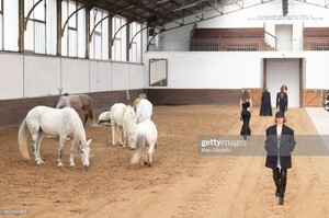gettyimages-1471622412-2048x2048.thumb.jpg.3462409095a803f86d6a0cf90f5c95a9.jpg