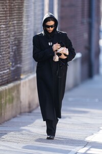 irina-shayk-out-with-her-puppy-in-new-york-03-07-2023-5.jpg