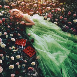 magicalfairyroses_273445604_246180817688773_5532931085959176254_n.jpg