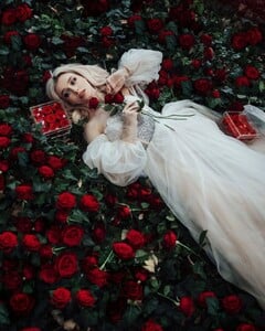magicalfairyroses_273603157_441962494286211_4503127843451033280_n.jpg