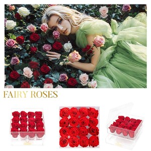 magicalfairyroses_279200167_270376221885339_4681750198266429222_n.jpg