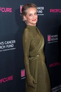 sharon-stone-at-women-s-cancer-research-fund-s-an-unforgettable-evening-benefit-gala-at-beverly-wilshire-hotel-03-16-2023-3.jpg