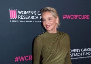 sharon-stone-at-women-s-cancer-research-fund-s-an-unforgettable-evening-benefit-gala-at-beverly-wilshire-hotel-03-16-2023-5.jpg