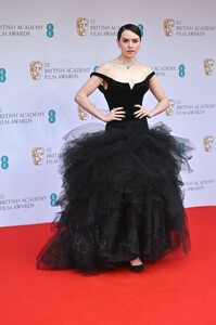 270732879_daisy-7.jpg