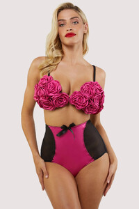 bettie-page-lingerie-bra-audrey-rose-bra-30401605074992_2000x.jpg